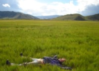 Soll diese Wiese eine Steppenlandschaft sein?