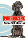 PORNOSZENE von Andre Sokolowski